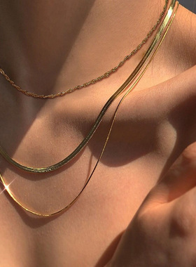 Choker Necklace蛇骨链双层叠戴项链女欧美轻奢小众复古蛇骨颈链