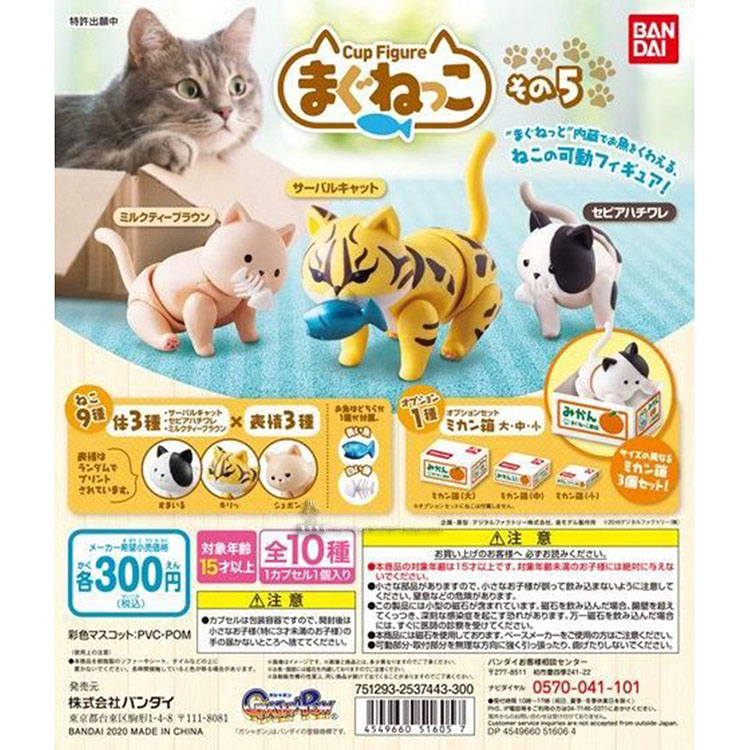 正版关节可动猫猫虎纹磁力扭蛋