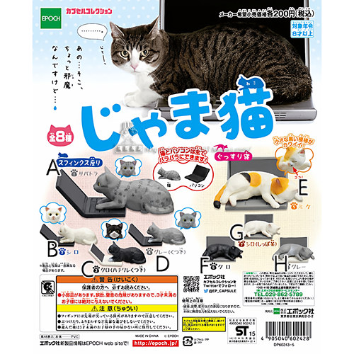 Epoch碍事猫桌面摆件扭蛋