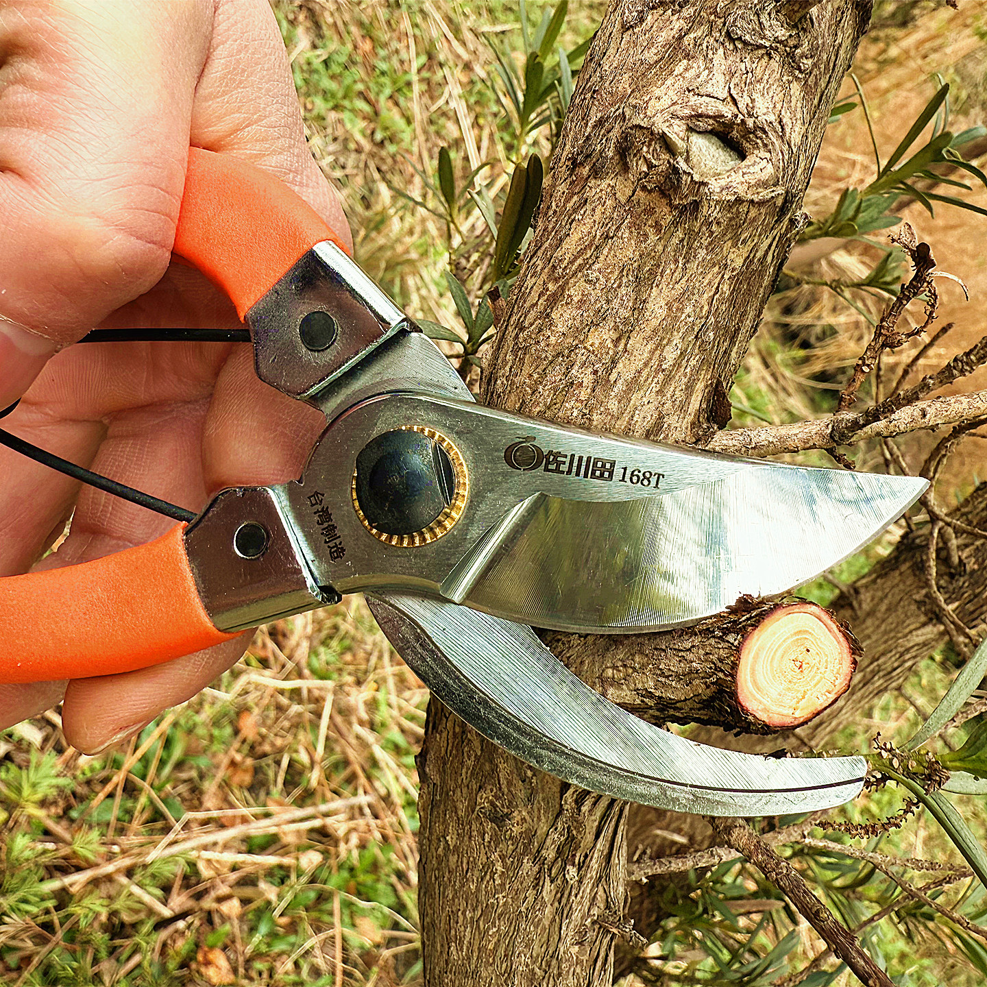 佐川田168T树枝剪刀园艺修枝