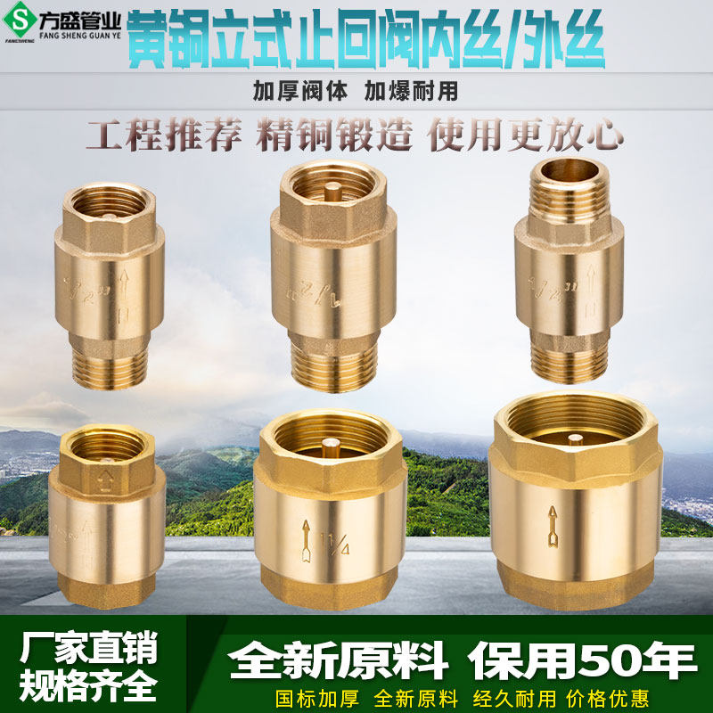 全铜内外丝止回阀4分6分1寸水管管道弹簧单向阀立式防反水逆止阀,五金/工具,单向阀,淘宝优惠券,粉丝福利购,淘宝优惠卷