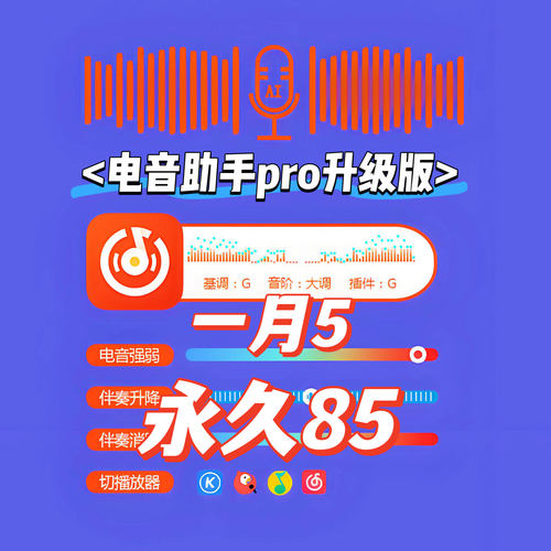 电音助手pro永久自动电音基调酷狗全民网易查改歌曲升降软件