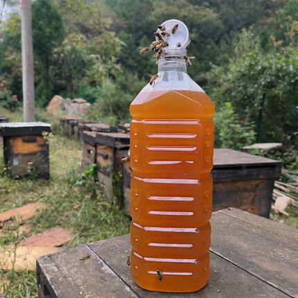 蜜蜂口粮 意蜂蜂蜜 蜂粮 中蜂口粮 繁蜂口粮 繁蜂蜂蜜