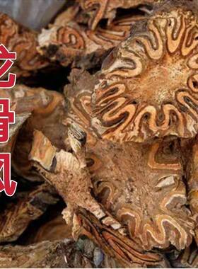 龙骨风 桫椤 飞天擒罗山卡捞劳禽捞 正品中药材飞天蠄 包邮可打粉