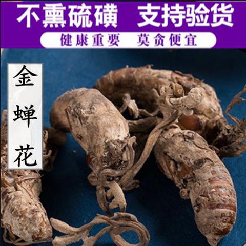 正品野生金蝉花中药材金婵花金蟾花虫草孢子粉知了花金蚕花非50g