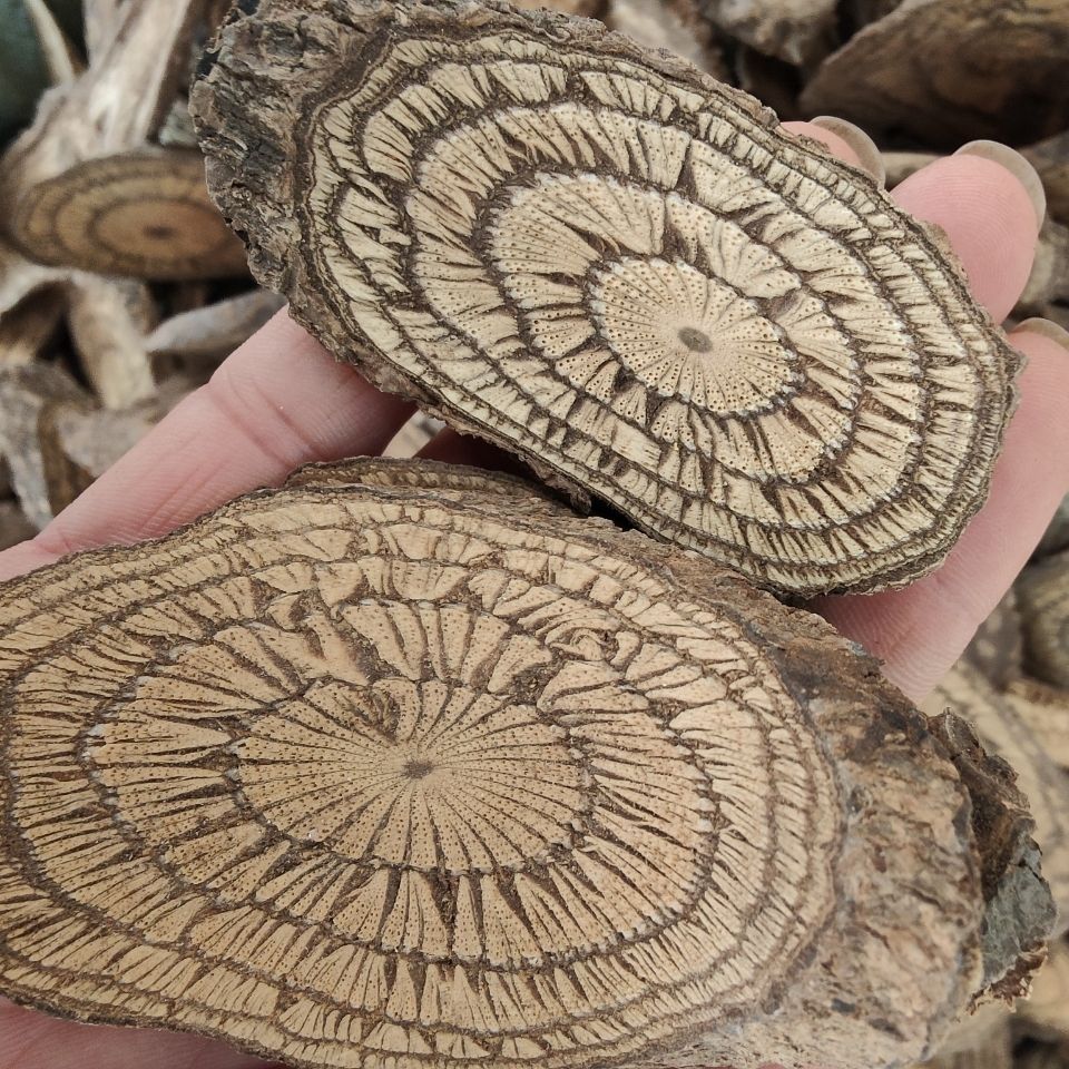 买麻藤中药材麻骨风 买麻藤 买子藤 驳骨藤 大节藤批发包邮无硫