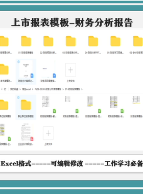 财务报表电子文档分析报告word总结汇报企业上市公司案例模板61