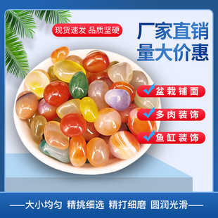 南京雨花石原石天然鹅卵石多肉铺面鱼缸造景花盆栽五彩色小石头子