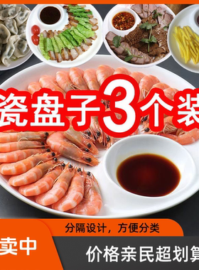 陶瓷特色菜盘子带蘸料碟带醋碟饺子盘白盘水饺盘饭盘高级感带汤盘