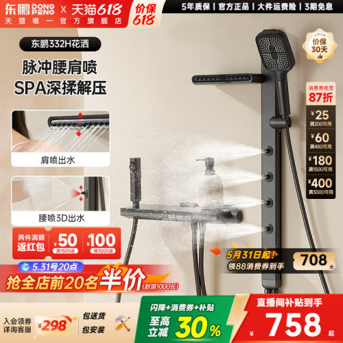 东鹏全铜无顶喷枪灰花洒套装
