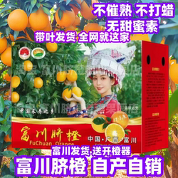 广西富川脐橙甜橙农家自种包邮脐橙富川脐橙高山水果广西富川脐橙