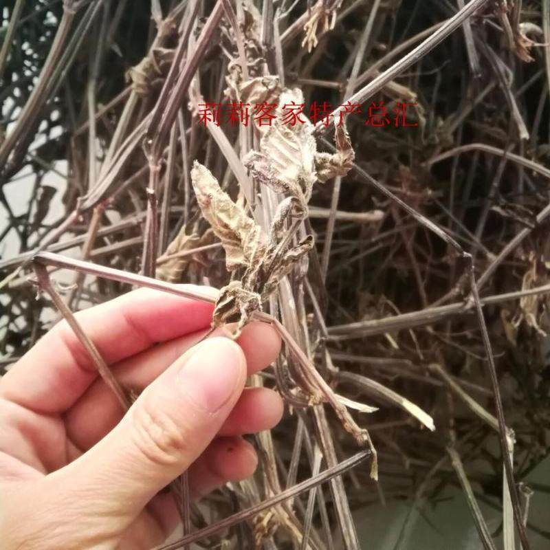 客家特产 煲汤料 红丝线草/红蓝草/山蓝草/青红线草 500克