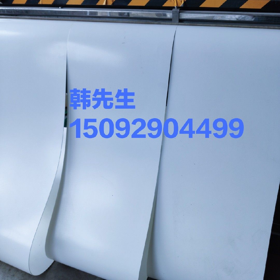 非标定制pu流水耐油花生输送带