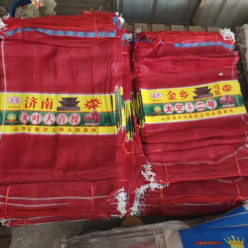 大蒜种子包装袋大青棵太空二号透气加厚网袋彩印网袋
