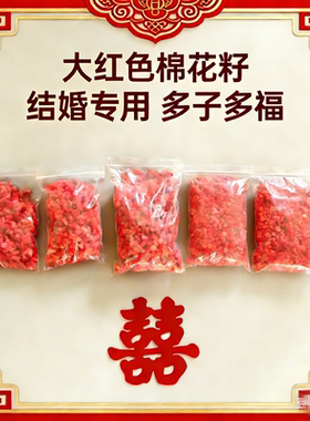 结婚专用大红色棉花籽喜庆用品男方女方婚庆用品压床早生贵子