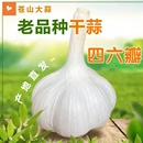 山東蒼山白皮大蒜種子正宗老品種當(dāng)季 干蒜46瓣優(yōu)質(zhì)四六瓣可種植