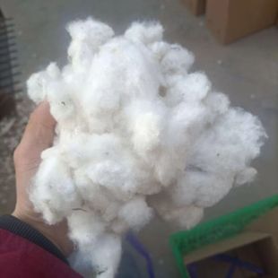 带籽棉花未加工一级散装棉花农家自产保真纯棉花婚庆生子用棉花