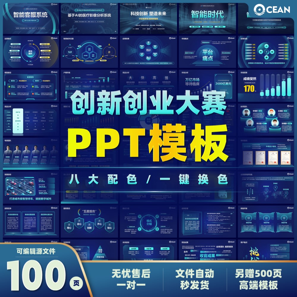 互联网创新创业大赛国金级100页