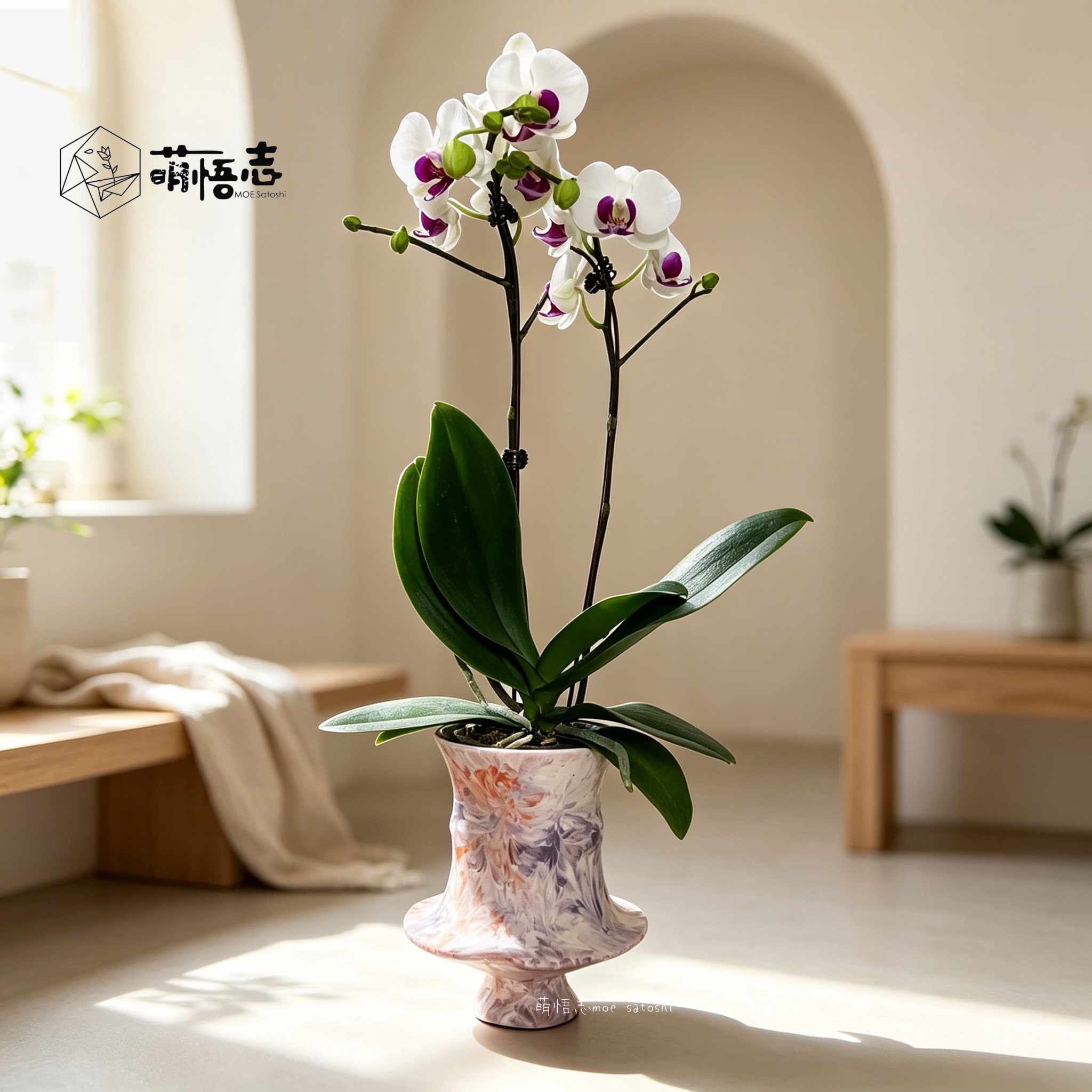外贸陶瓷酒杯造型桌面花盆