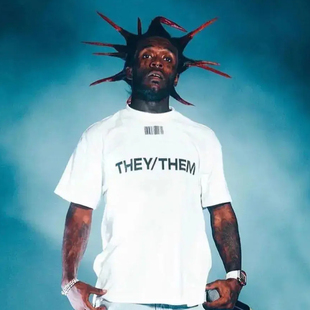 Shirt 潮 Vert 短T 短袖 联名 TheyThem Vetements Uzi Lil