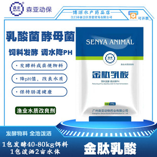 森亚金肽乳酸 鱼虾蟹海参养殖水体专用乳酸菌酵母菌 发酵物料降ph