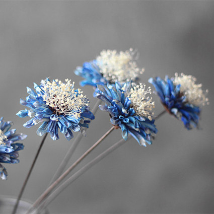 矢车菊-菊花艺术干花diy花束 拍摄道具 小清新家居装饰插花摆设