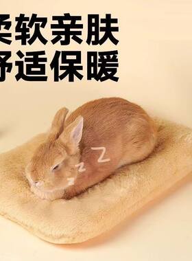 兔子趴趴棉垫猫咪狗兔窝加厚保暖冬季睡觉毯子龙猫荷兰猪宠物垫子
