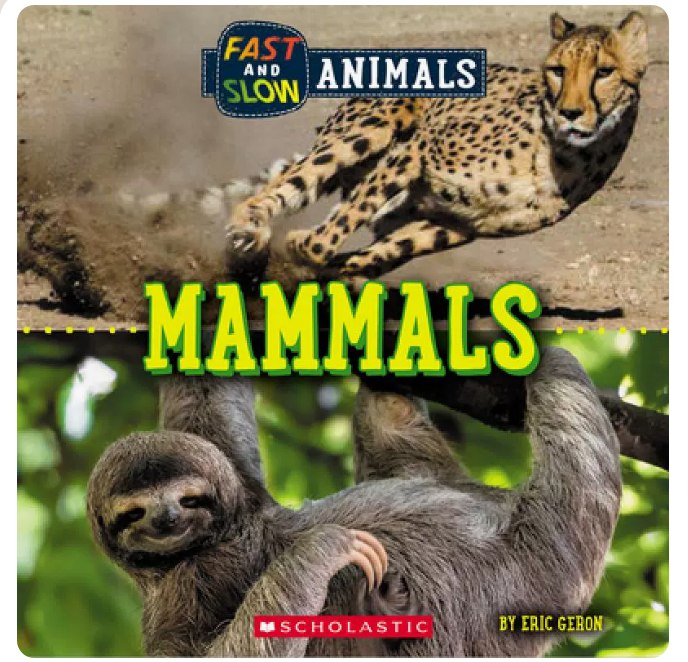 【预售】英文原版 fast and slow mammals 快与慢 哺乳动物