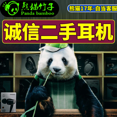 熊猫竹子二手砖头播放器