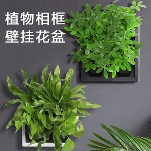 壁挂懒人花盆相框植物架 自吸水盆免打孔水培盆 绿萝壁挂轻奢简约
