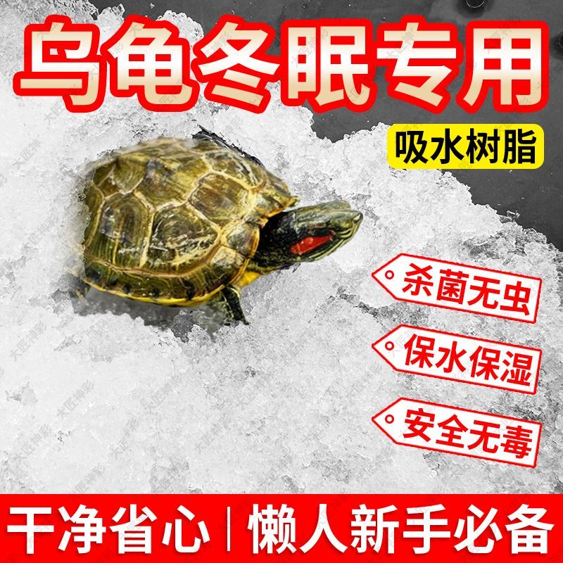 乌龟冬眠新型吸水树脂透明垫料无菌无虫锁水保湿爬宠全套套装保暖