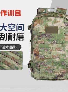 正品新式EXP21S-V作训包E19N户外战术双肩迷彩背包单作训包背囊包