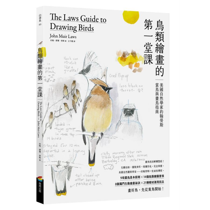 鸟类绘画的一堂课港台