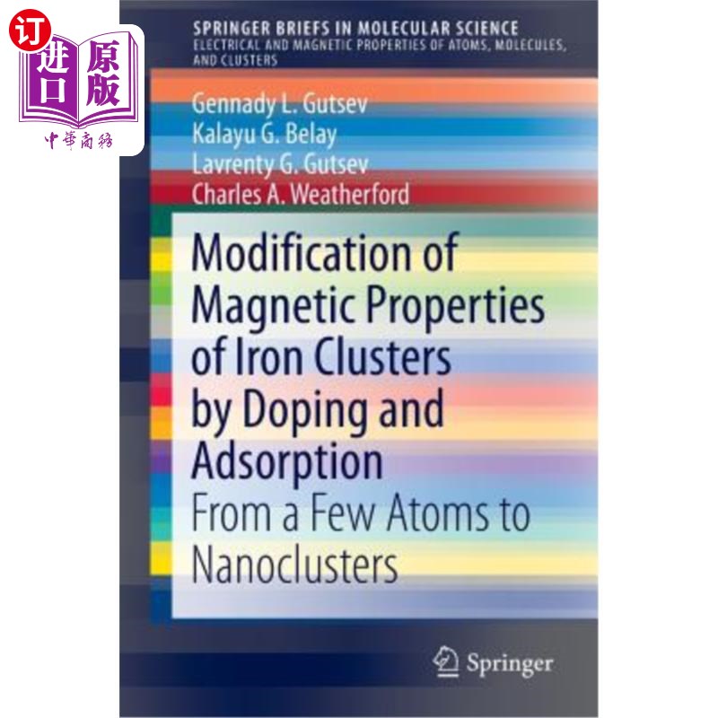 海外直订Modification of Magnetic Properties of Iron Clusters by Doping and Adsorption: F 掺杂和吸附对铁团簇磁性的改