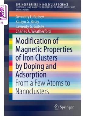 海外直订Modification of Magnetic Properties of Iron Clusters by Doping and Adsorption: F 掺杂和吸附对铁团簇磁性的改