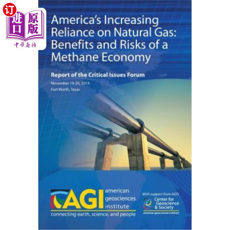海外直订America's Increasing Reliance on Natural Gas: Benefits and Risks of a Methane Ec 美国对天然气的日益依赖:甲