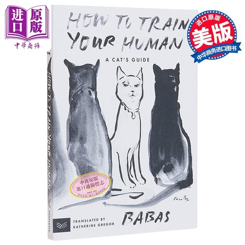 如何训练你的人猫的指南