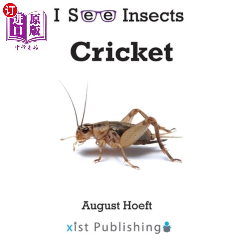 海外直订cricket 板球