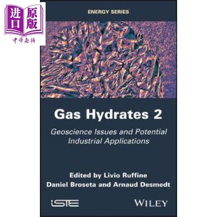 现货 第2版 天然气水合物 Gas 英文原版 Hydrates Ruffine 中商原版 Livio