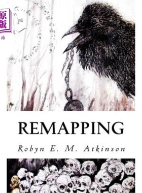 海外直订Remapping 重新映射