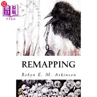 海外直订Remapping 重新映射