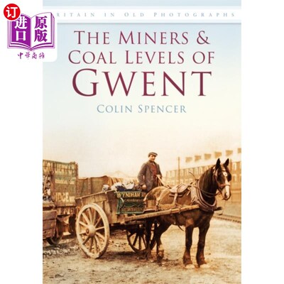 海外直订Miners and Coal Levels of Gwent 加纳矿工和煤炭水平