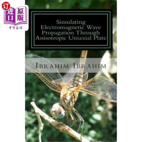 海外直订Simulating Electromagnetic Wave Propagation Through Anisotropic Uniaxial Plate:  用无坐标方法模拟电磁波在各