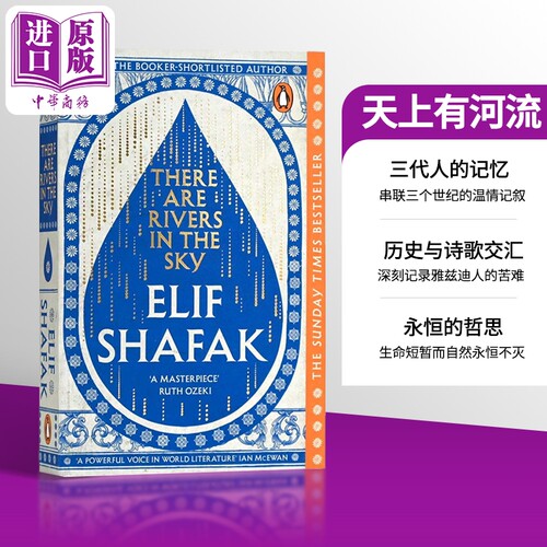 天上有河流 英文原版 There are Rivers in the Sky Elif Shafak 畅销书作家艾丽芙 沙法克新作 流行小说【中商原版】
