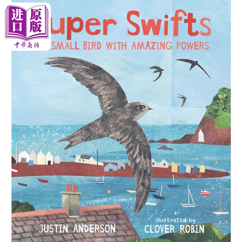 超级雨燕英文原版进口绘本