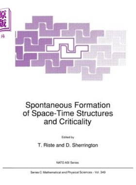 海外直订Spontaneous Formation of Space-Time Structures and Criticality 时空结构的自发形成与临界性