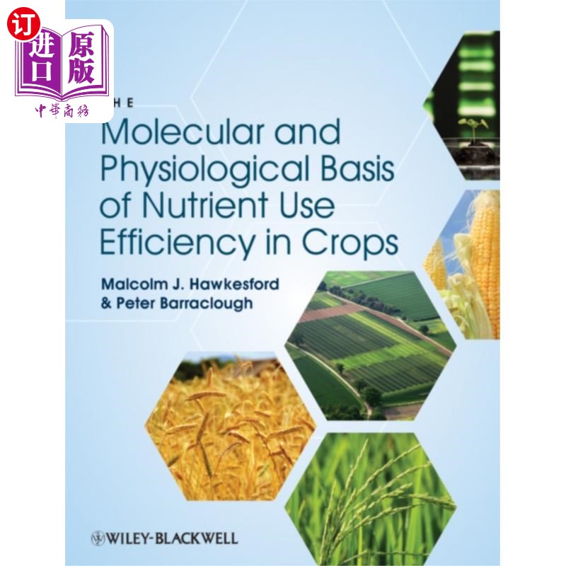 海外直订Molecular Basis of Nutrient Use Efficiency in Cr... 作物养分利用效率的分子和生理基础