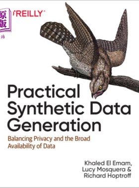 海外直订Practical Synthetic Data Generation: Balancing Privacy and the Broad Availabilit 实用合成数据生成:平衡隐私