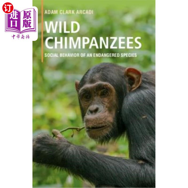 海外直订Wild Chimpanzees: Social Behavior of an Endangered Species 野生黑猩猩:濒危物种的社会行为