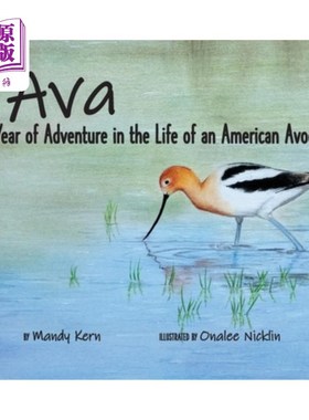 海外直订Ava: A Year of Adventure in the Life of an American Avocet 艾娃:一个美国鳄梨的一年冒险生活